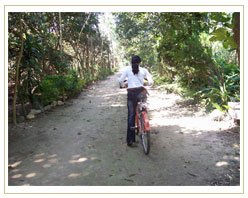 Slider image (10) Naturopathy Resort